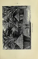 Picture 9 of 16 from Das Buch von unsern Kolonien (1908), leaf 155