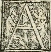 An illustration from Das festas qve se fizeram na cidade de Lisboa, na entrada del Rey D. Philippe primeiro de Portugal (1581)