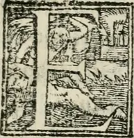 An illustration from Das festas qve se fizeram na cidade de Lisboa, na entrada del Rey D. Philippe primeiro de Portugal (1581)