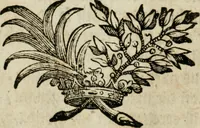 An illustration from Das güldne Vliess, oder, Das allerhöchste, edelste, kunstreichste Kleinod, und der urälteste verborgene Schatz der Weisen : in welchem da ist die allgemeine Materia prima, derselben nothwendige Praeparation und überaus reiche Frucht des philosophischen Steins augenscheinlich gezeiget und klärlich dargethan (1737)