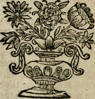 An illustration from Das güldne Vliess, oder, Das allerhöchste, edelste, kunstreichste Kleinod, und der urälteste verborgene Schatz der Weisen : in welchem da ist die allgemeine Materia prima, derselben nothwendige Praeparation und überaus reiche Frucht des philosophischen Steins augenscheinlich gezeiget und klärlich dargethan (1737)