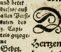 An illustration from Das hohe Lied dess Königes Salomons, nach der Ordnung dess Textes summarischen gebeten Rand, Glossen und kurtzen Beschluss-Liedern (1662)