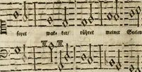 An illustration from Das hohe Lied dess Königes Salomons, nach der Ordnung dess Textes summarischen gebeten Rand, Glossen und kurtzen Beschluss-Liedern (1662)