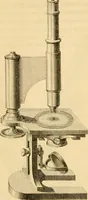 An illustration from Das Mikroskop, Theorie und Anwendung desselben (1867)