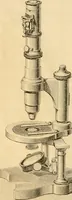 An illustration from Das Mikroskop, Theorie und Anwendung desselben (1867)