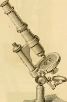 An illustration from Das Mikroskop, Theorie und Anwendung desselben (1867)