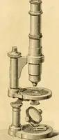 An illustration from Das Mikroskop, Theorie und Anwendung desselben (1867)