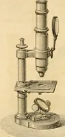 An illustration from Das Mikroskop, Theorie und Anwendung desselben (1867)