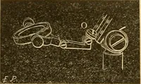 An illustration from Das Mikroskop, Theorie und Anwendung desselben (1867)