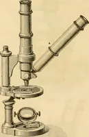 An illustration from Das Mikroskop, Theorie und Anwendung desselben (1867)
