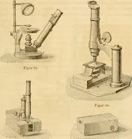 An illustration from Das Mikroskop, Theorie und Anwendung desselben (1867)