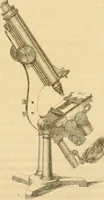 An illustration from Das Mikroskop, Theorie und Anwendung desselben (1867)