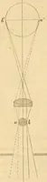 An illustration from Das Mikroskop, Theorie und Anwendung desselben (1867)