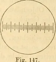 An illustration from Das Mikroskop, Theorie und Anwendung desselben (1867)