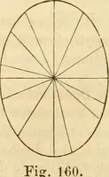 An illustration from Das Mikroskop, Theorie und Anwendung desselben (1867)