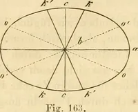 An illustration from Das Mikroskop, Theorie und Anwendung desselben (1867)