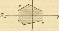 An illustration from Das Mikroskop, Theorie und Anwendung desselben (1867)