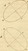 An illustration from Das Mikroskop, Theorie und Anwendung desselben (1867)