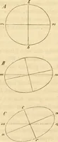An illustration from Das Mikroskop, Theorie und Anwendung desselben (1867)