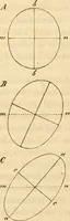 An illustration from Das Mikroskop, Theorie und Anwendung desselben (1867)