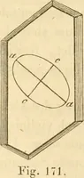 An illustration from Das Mikroskop, Theorie und Anwendung desselben (1867)