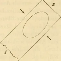 An illustration from Das Mikroskop, Theorie und Anwendung desselben (1867)