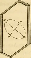 An illustration from Das Mikroskop, Theorie und Anwendung desselben (1867)