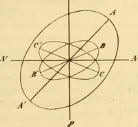 An illustration from Das Mikroskop, Theorie und Anwendung desselben (1867)