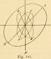 An illustration from Das Mikroskop, Theorie und Anwendung desselben (1867)