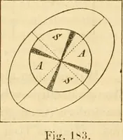 An illustration from Das Mikroskop, Theorie und Anwendung desselben (1867)