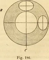 An illustration from Das Mikroskop, Theorie und Anwendung desselben (1867)