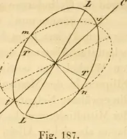 An illustration from Das Mikroskop, Theorie und Anwendung desselben (1867)