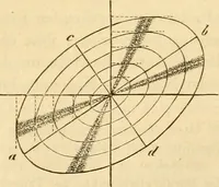 An illustration from Das Mikroskop, Theorie und Anwendung desselben (1867)