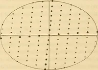 An illustration from Das Mikroskop, Theorie und Anwendung desselben (1867)