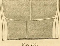 An illustration from Das Mikroskop, Theorie und Anwendung desselben (1867)