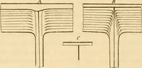 An illustration from Das Mikroskop, Theorie und Anwendung desselben (1867)