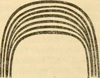 An illustration from Das Mikroskop, Theorie und Anwendung desselben (1867)