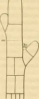 An illustration from Das Mikroskop, Theorie und Anwendung desselben (1867)
