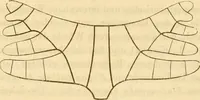 An illustration from Das Mikroskop, Theorie und Anwendung desselben (1867)