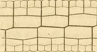 An illustration from Das Mikroskop, Theorie und Anwendung desselben (1867)