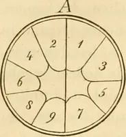 An illustration from Das Mikroskop, Theorie und Anwendung desselben (1867)