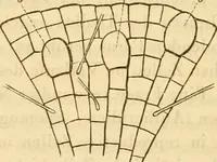 An illustration from Das Mikroskop, Theorie und Anwendung desselben (1867)