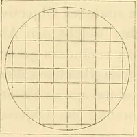 An illustration from Das Mikroskop, Theorie und Anwendung desselben (1867)