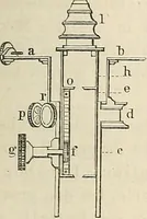 An illustration from Das mikroskop : Theorie, gebrauch, geschichte und gegenwärtiger zustand desselben (1866)