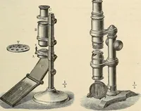 An illustration from Das mikroskop : Theorie, gebrauch, geschichte und gegenwärtiger zustand desselben (1866)