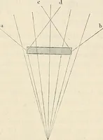 An illustration from Das mikroskop : Theorie, gebrauch, geschichte und gegenwärtiger zustand desselben (1866)