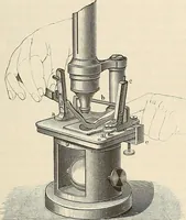 An illustration from Das mikroskop : Theorie, gebrauch, geschichte und gegenwärtiger zustand desselben (1866)