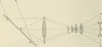 An illustration from Das mikroskop : Theorie, gebrauch, geschichte und gegenwärtiger zustand desselben (1866)