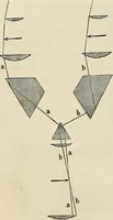 An illustration from Das mikroskop : Theorie, gebrauch, geschichte und gegenwärtiger zustand desselben (1866)