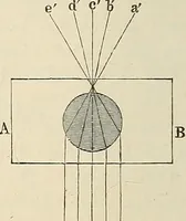 An illustration from Das mikroskop : Theorie, gebrauch, geschichte und gegenwärtiger zustand desselben (1866)
